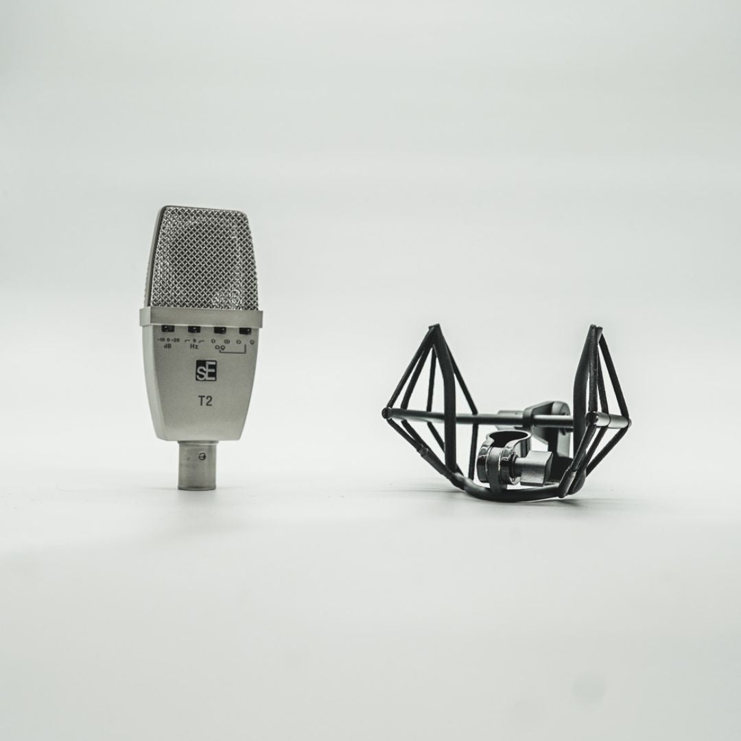 sE Electronics T2
