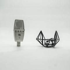 sE Electronics T2