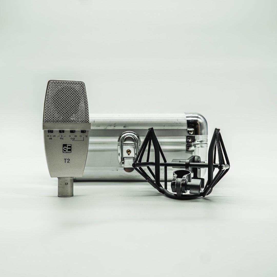 sE Electronics T2