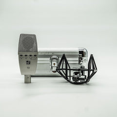 sE Electronics T2